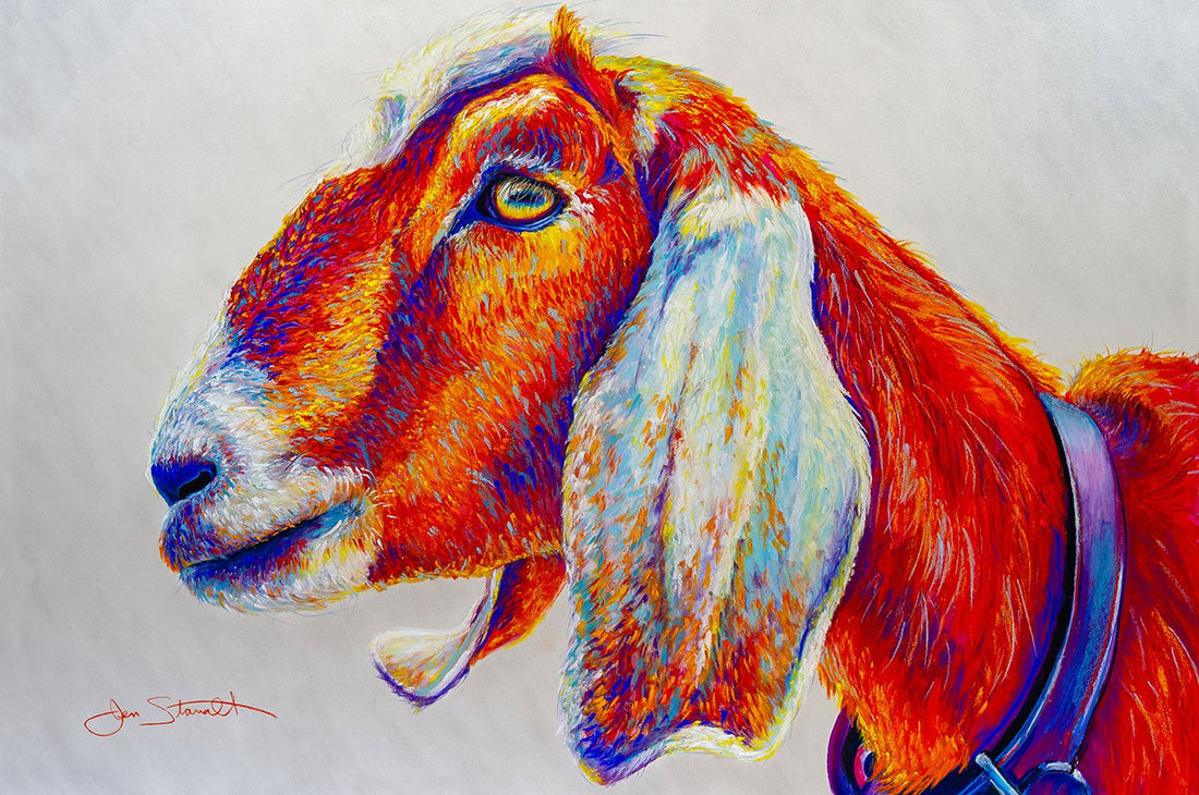 Jen Starwalt Contemporary Wildlife Art Original Art Sandberg Goat